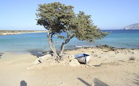 Nektarios Fanos Studios